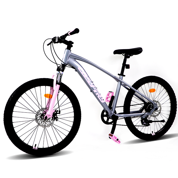 Mountain Biking Usa - Factory Cycling in China Sell New