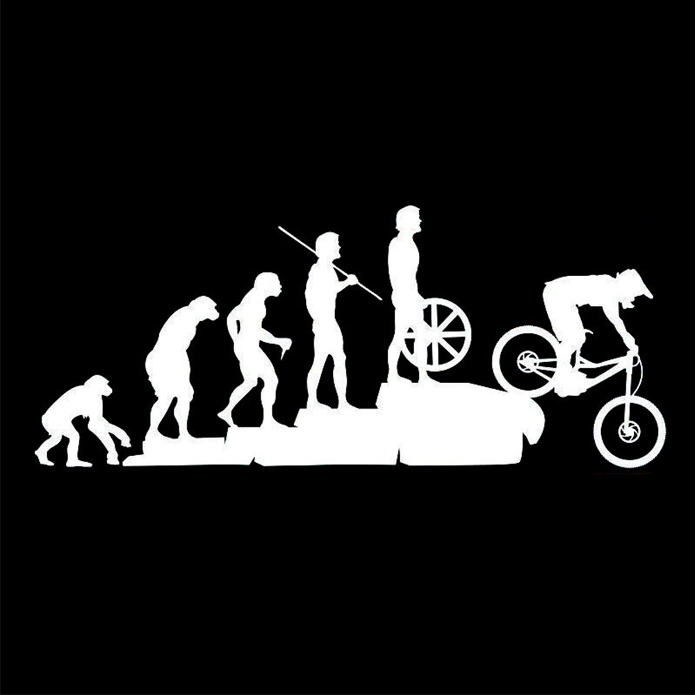22.8*9.5CM Thú Vị Tiến Hóa Miế - đánh giá và giá Mountain Biking Cartoon