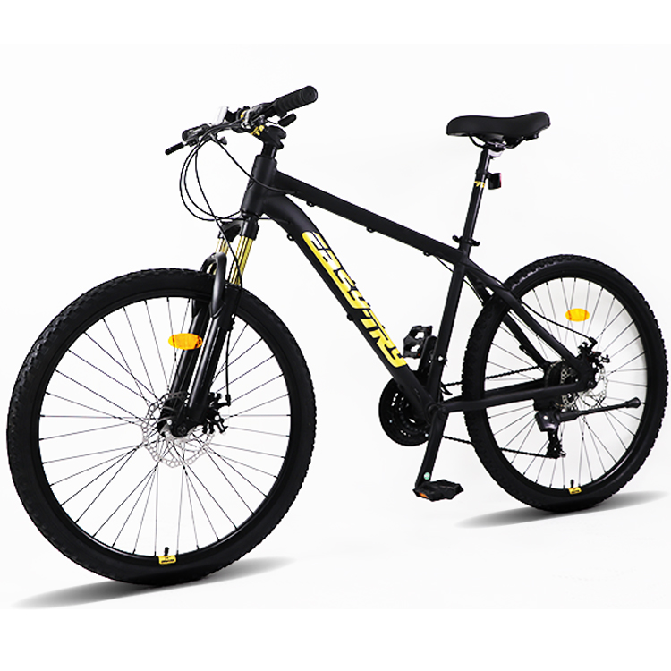 Fast Delivery Bikecmtb Bike OE - đánh giá và giá Mountain Biking Usa