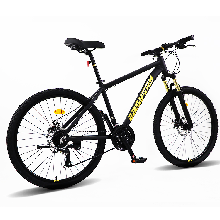 Fast Delivery Bikecmtb Bike OE - đánh giá và giá Mountain Biking Usa